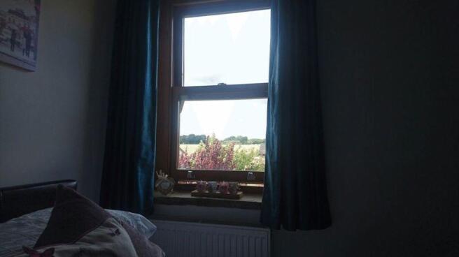 Photo 32
