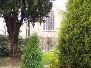 Photo 10