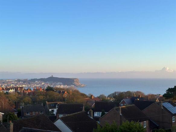 view4.jpg