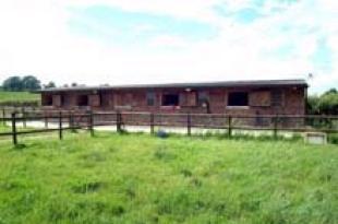 Stables