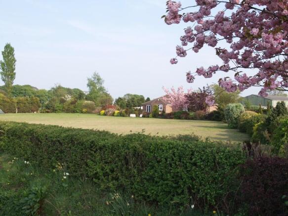 View Across Garden