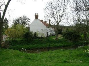 Stream