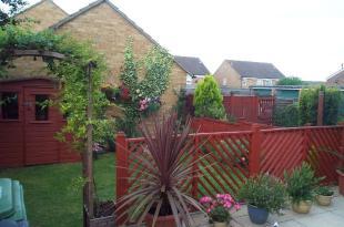 Garden (2)