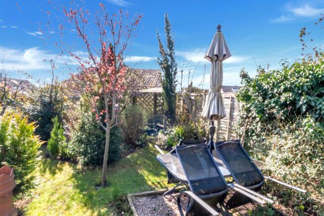 Garden 4.jpg