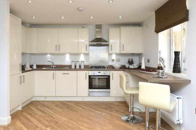 Kitchen Area 