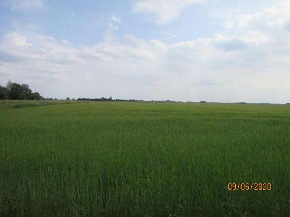 Photo 37