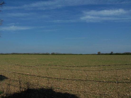 Farmland At Rear