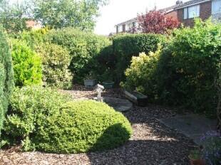 Garden View 2