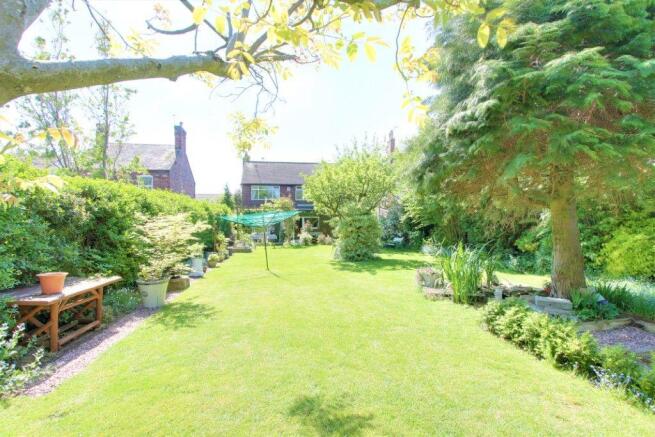 Garden at Back