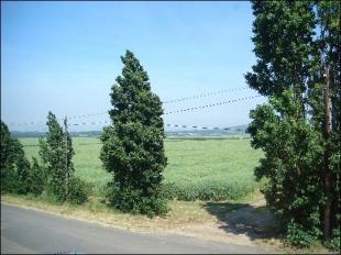 View from front