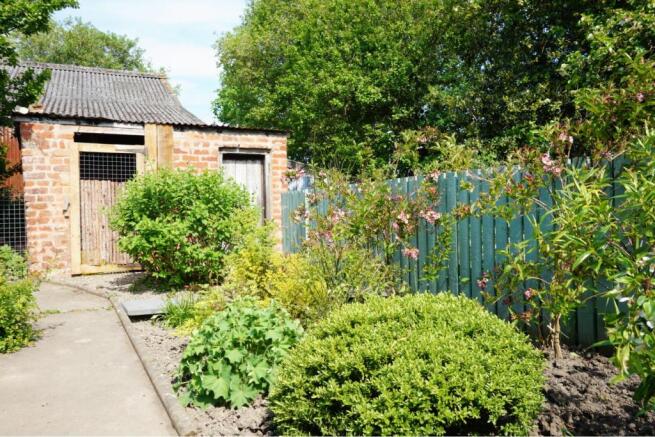 Cottage Garden