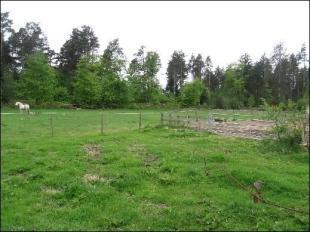 Paddocks