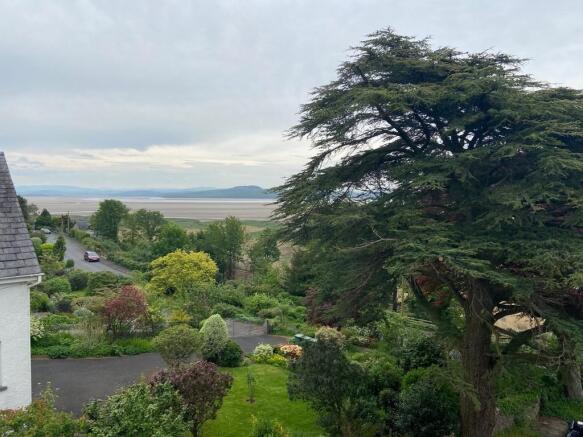 View from Lounge