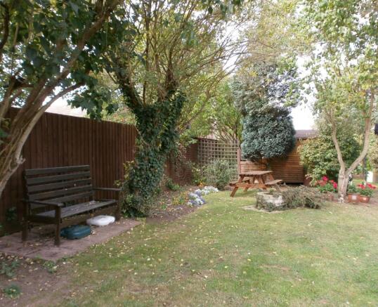 Photo 15