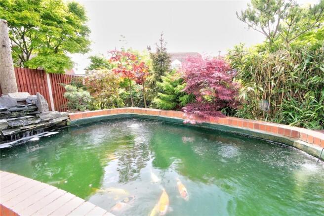 Pond