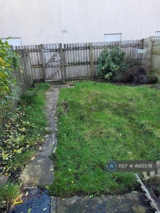 Back Garden