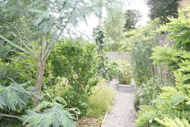 Veg Garden