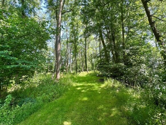Woodland