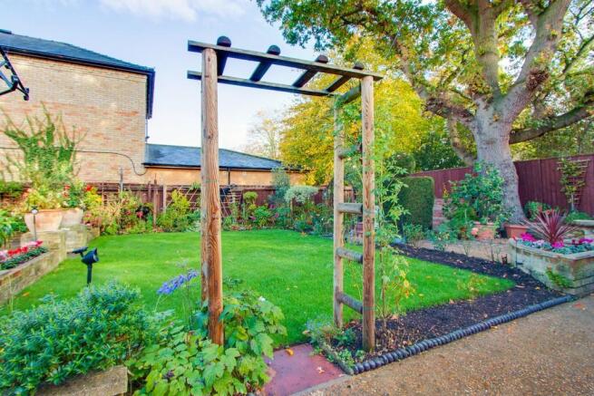 Back Garden 2