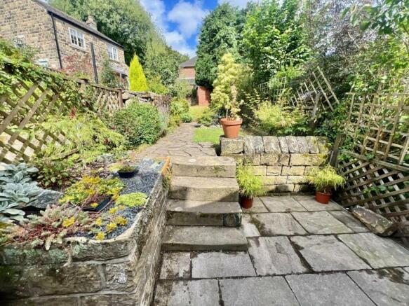 back garden.jpg