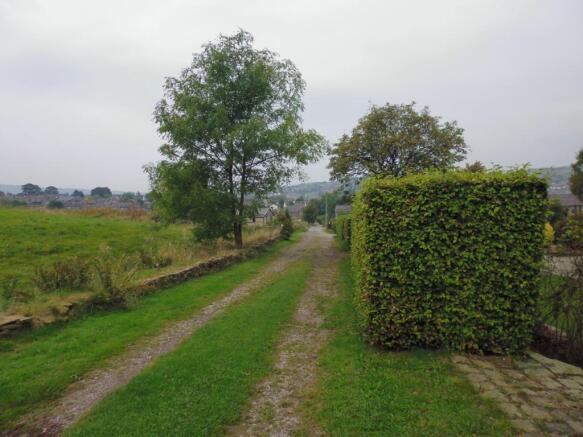 Image 15
