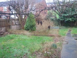 Rear Garden 2