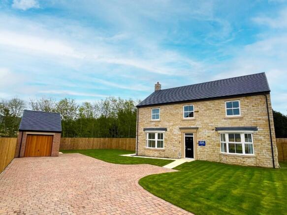 Rose Plot 5 External