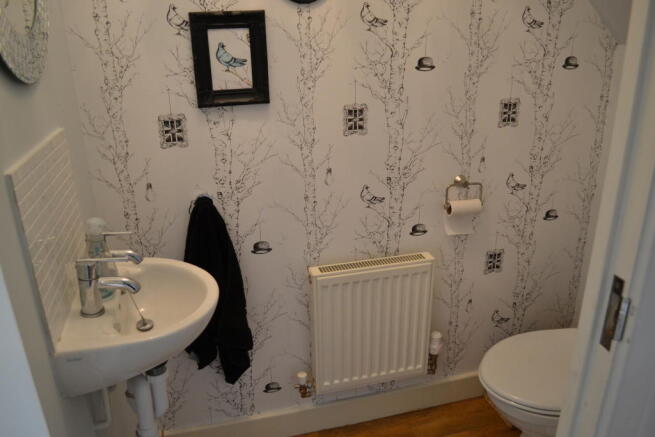 Photo 11
