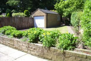 Back Garden