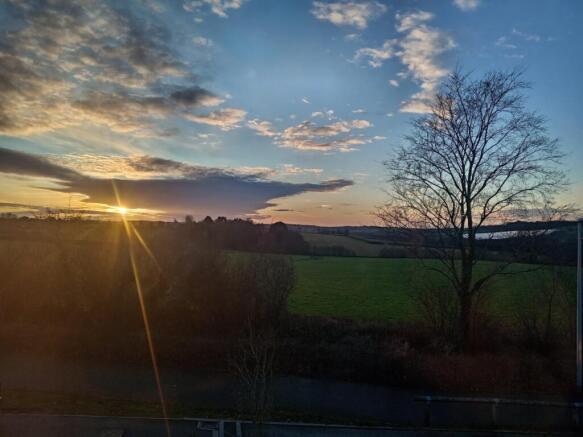 PHOTO-2026-02-04-17-03-53 2