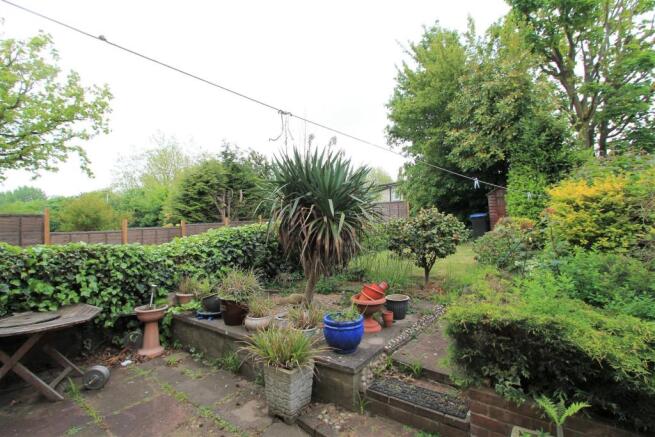 Garden.JPG