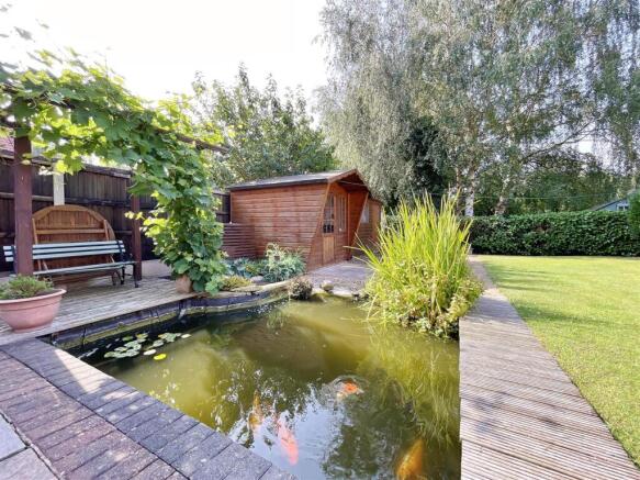Pond