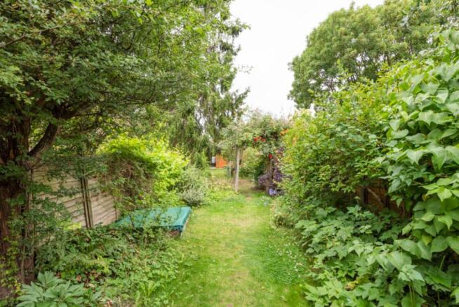 Garden 