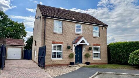 Johnson Drive, Scotter