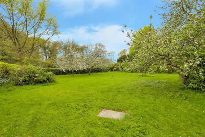 ORCHARD.jpg