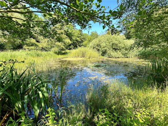 Pond