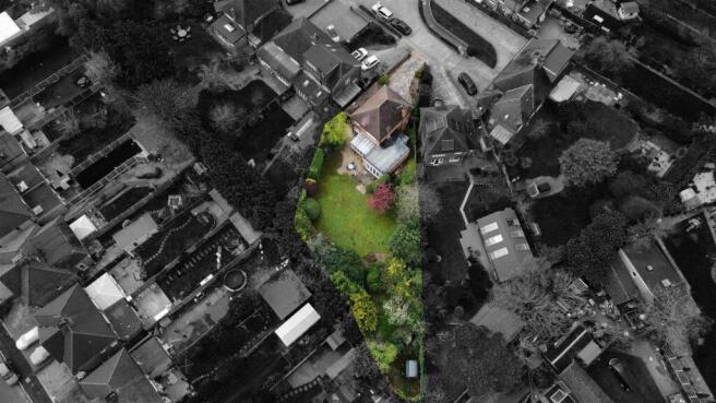 Plot view