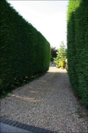 Driveway