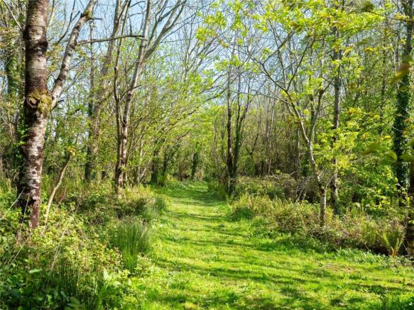 Woodland