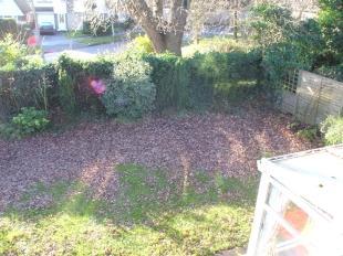 Rear Garden New
