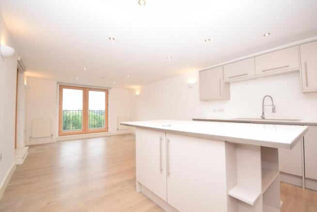 Kitchen/Living Room