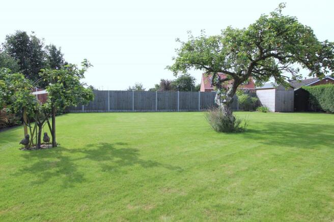 Garden at Back
