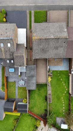 Plot View