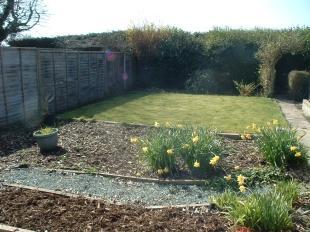 Garden 2
