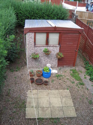 Photo 11