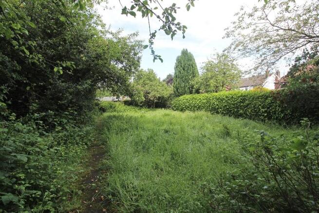 South Facing Garden