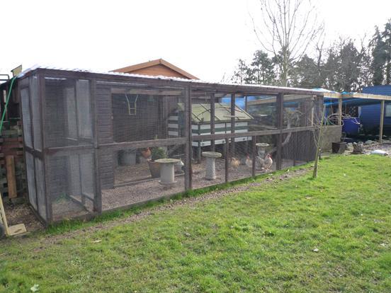 Aviary