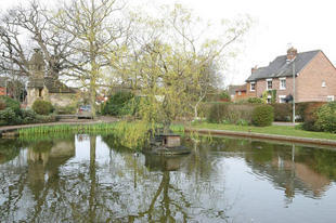 Image of Lingfield V