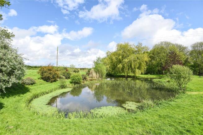 Pond