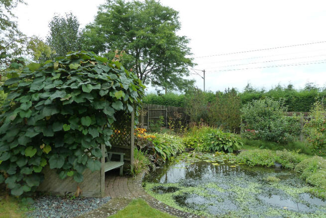 Photo 23